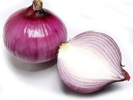 Oignon
